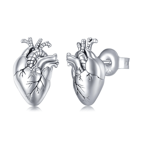 Anatomical Heart Earrings