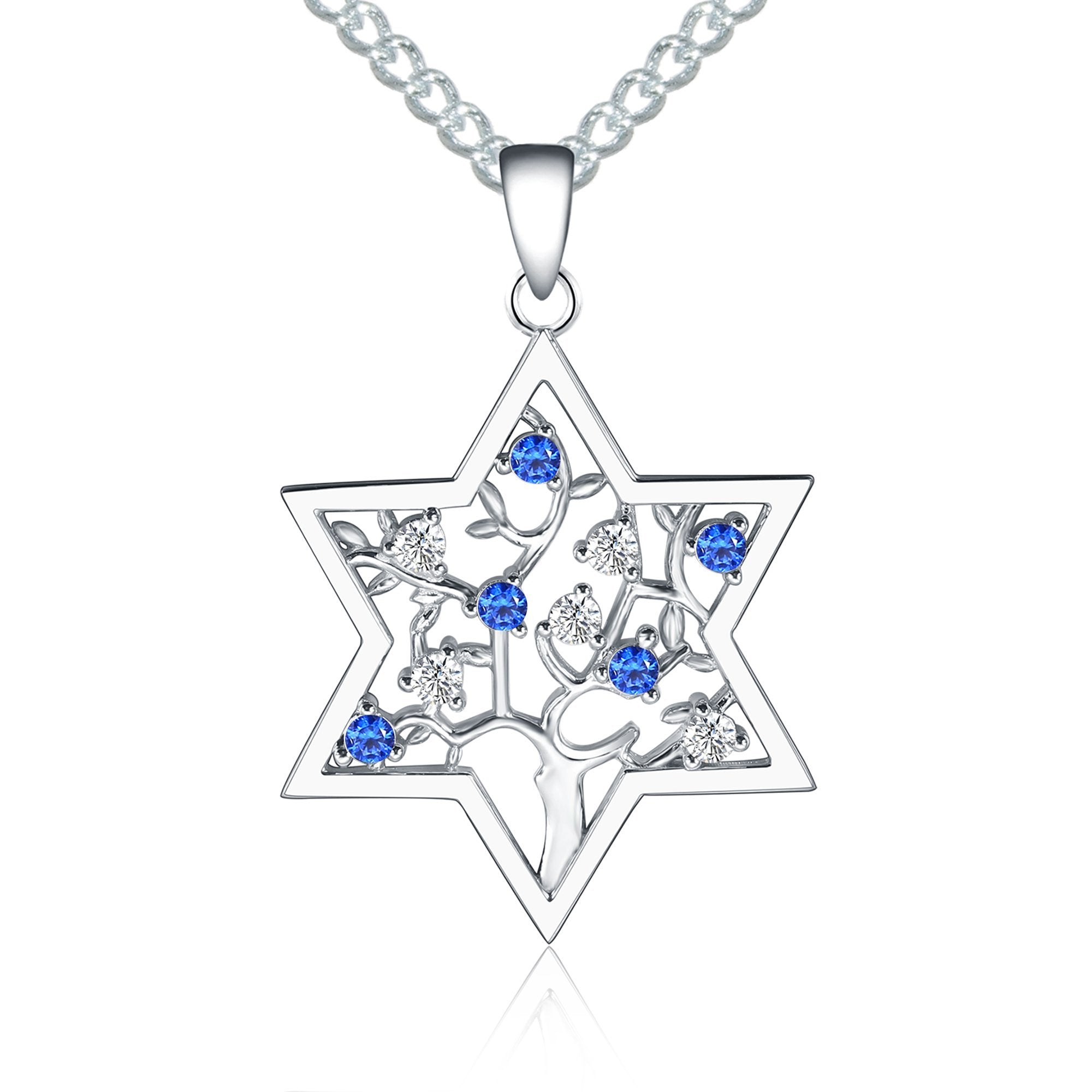 The Star of David Necklace – Meghan Fabulous